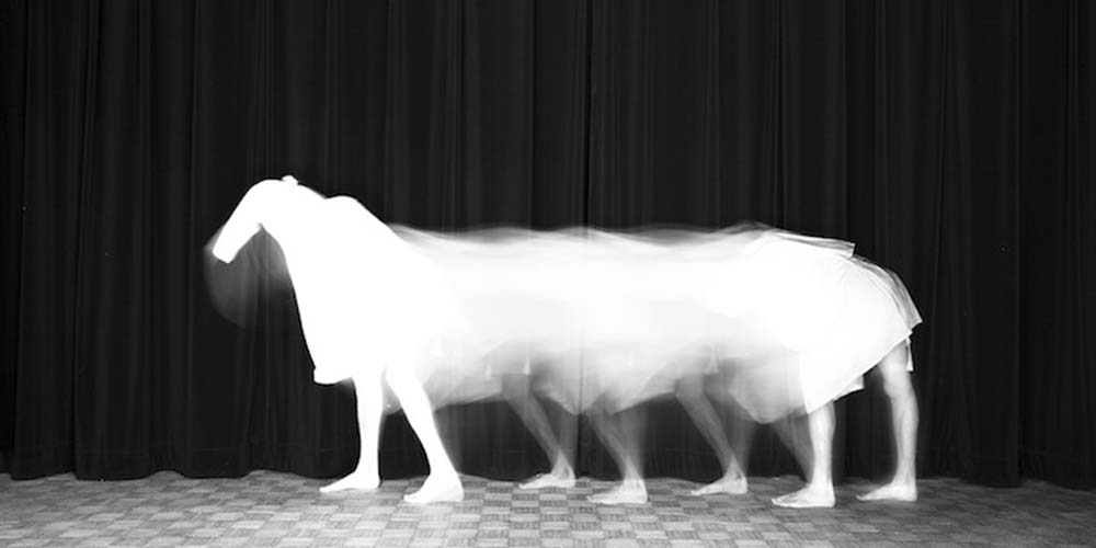 « Le cheval », série « Locomotion animale » © Guillaume Martial, 2015 - « Résidences de l’Art en Dordogne » / Centre Hospitalier Vauclaire à Montpon-Ménestérol 
